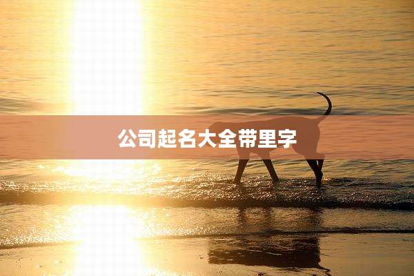 公司起名大全带里字
