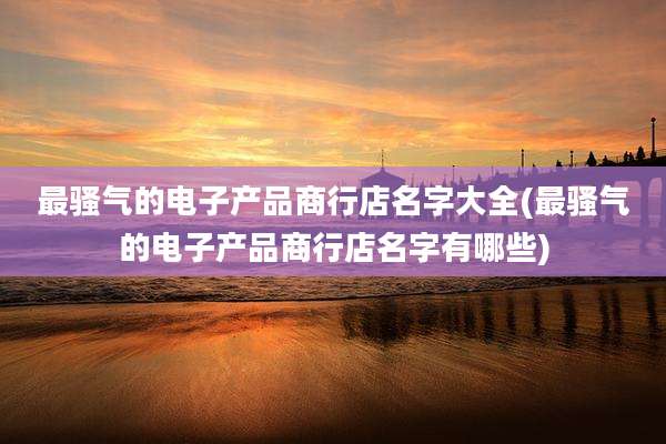 最骚气的电子产品商行店名字大全(最骚气的电子产品商行店名字有哪些)