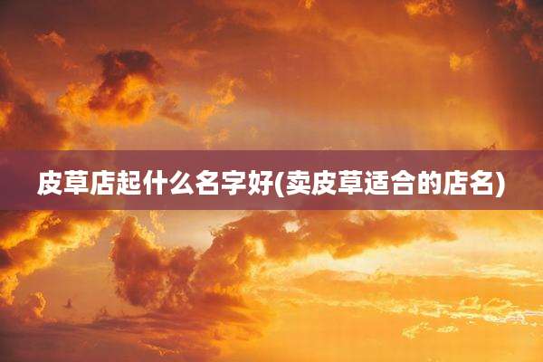 皮草店起什么名字好(卖皮草适合的店名)