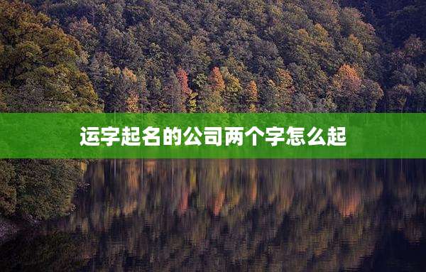 运字起名的公司两个字怎么起