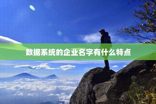 数据系统的企业名字有什么特点