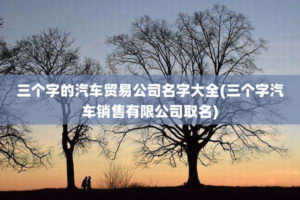 三个字的汽车贸易公司名字大全(三个字汽车销售有限公司取名)