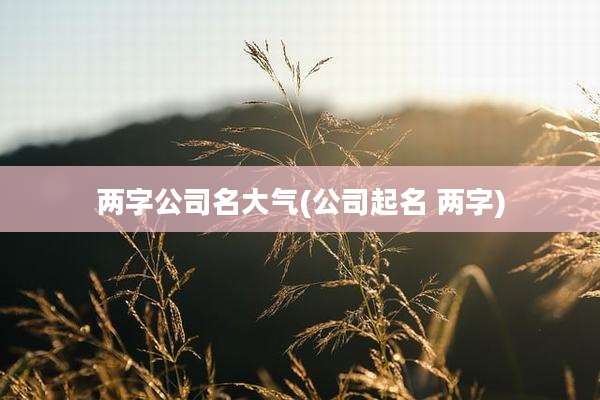 两字公司名大气(公司起名 两字)