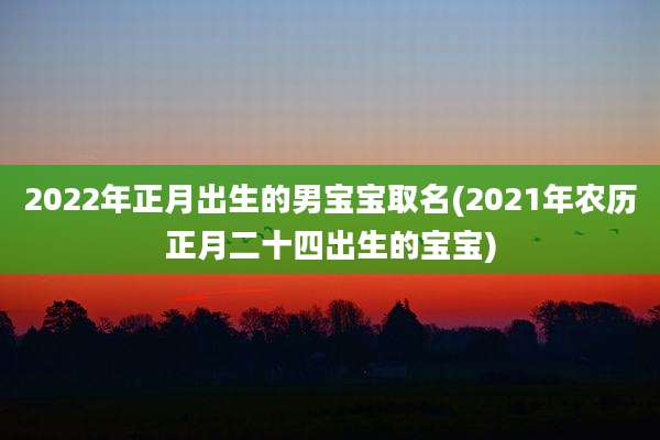 2022年正月出生的男宝宝取名(2021年农历正月二十四出生的宝宝)