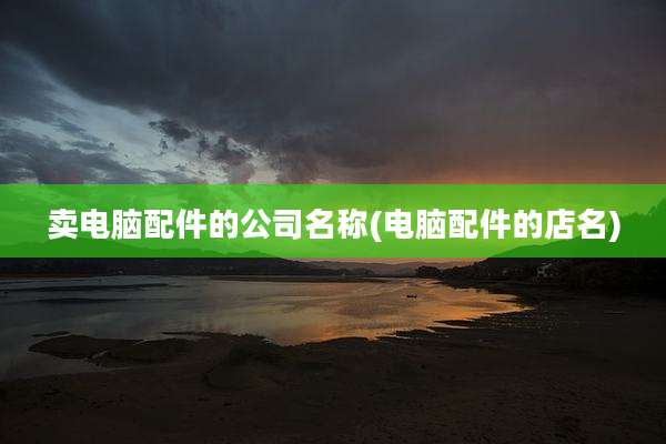 卖电脑配件的公司名称(电脑配件的店名)