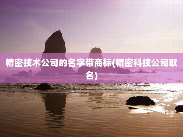 精密技术公司的名字带商标(精密科技公司取名)