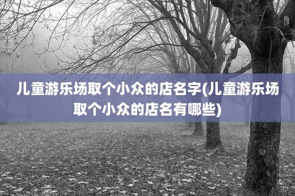 儿童游乐场取个小众的店名字(儿童游乐场取个小众的店名有哪些)
