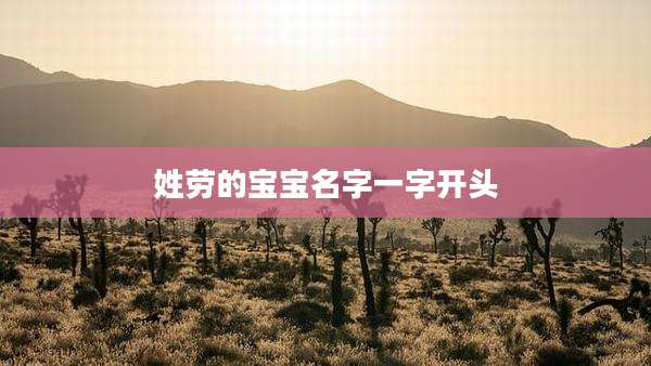 姓劳的宝宝名字一字开头