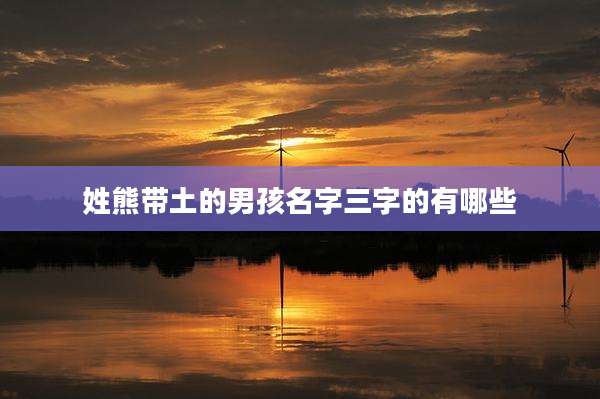 姓熊带土的男孩名字三字的有哪些