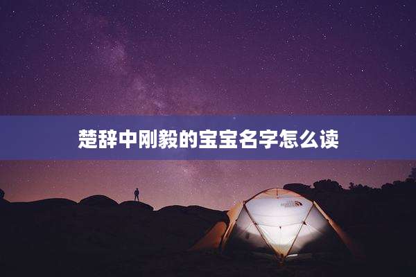 楚辞中刚毅的宝宝名字怎么读