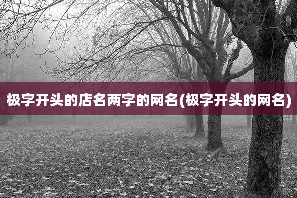 极字开头的店名两字的网名(极字开头的网名)