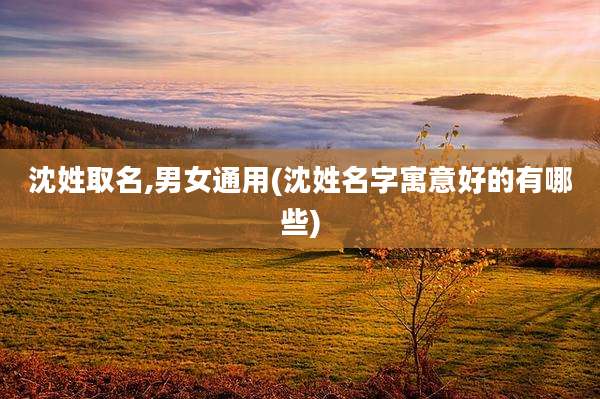 沈姓取名,男女通用(沈姓名字寓意好的有哪些)
