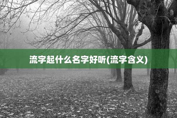 流字起什么名字好听(流字含义)