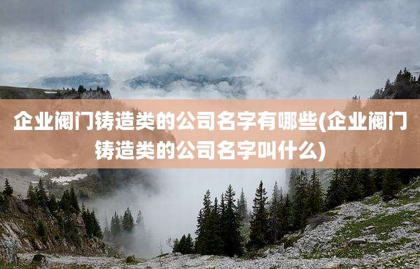 企业阀门铸造类的公司名字有哪些(企业阀门铸造类的公司名字叫什么)