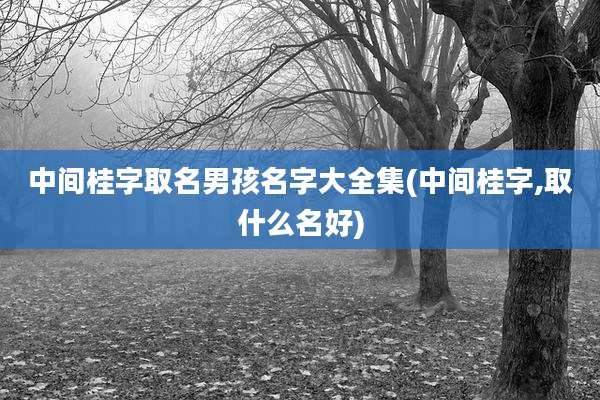 中间桂字取名男孩名字大全集(中间桂字,取什么名好)
