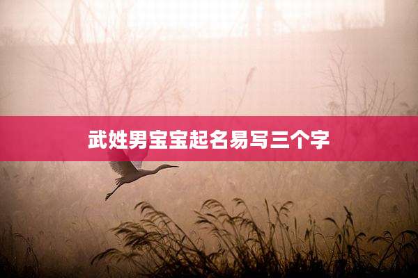 武姓男宝宝起名易写三个字