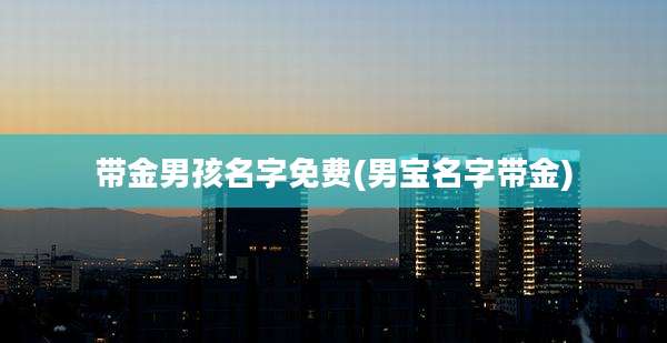 带金男孩名字免费(男宝名字带金)