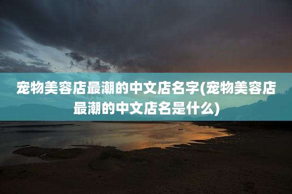 宠物美容店最潮的中文店名字(宠物美容店最潮的中文店名是什么)
