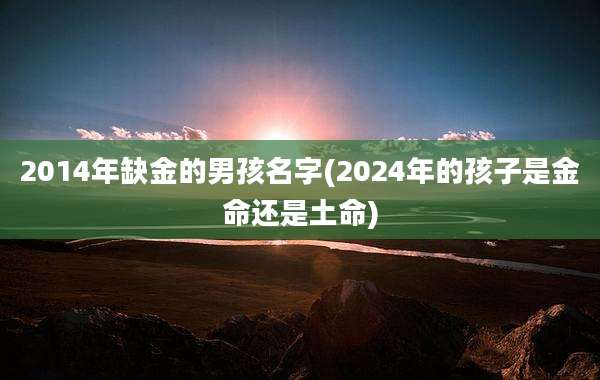 2014年缺金的男孩名字(2024年的孩子是金命还是土命)