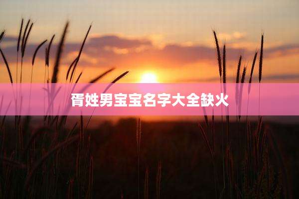 胥姓男宝宝名字大全缺火