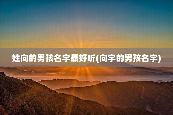 姓向的男孩名字最好听(向字的男孩名字)