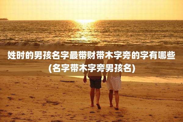 姓时的男孩名字最带财带木字旁的字有哪些(名字带木字旁男孩名)