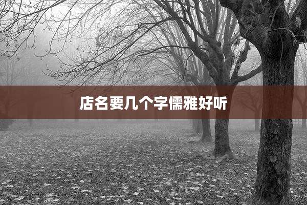 店名要几个字儒雅好听
