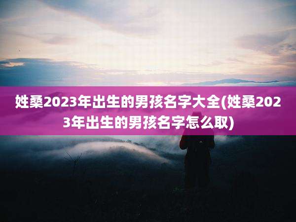 姓桑2023年出生的男孩名字大全(姓桑2023年出生的男孩名字怎么取)