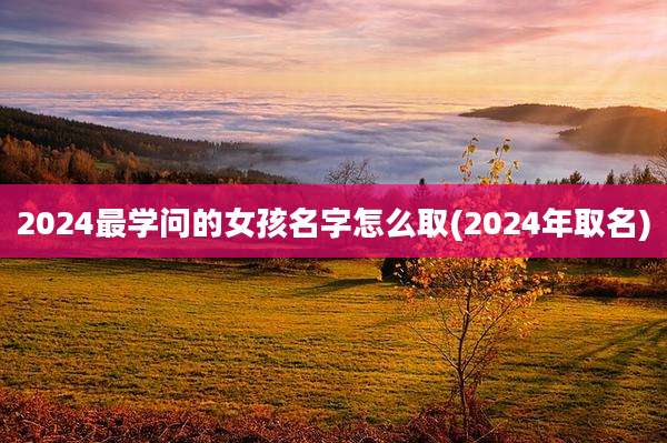 2024最学问的女孩名字怎么取(2024年取名)