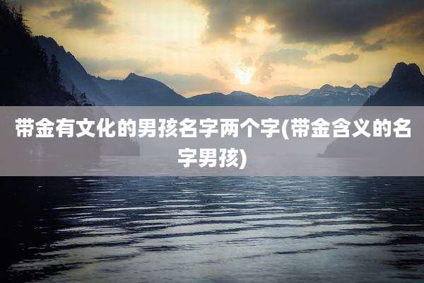 带金有文化的男孩名字两个字(带金含义的名字男孩)