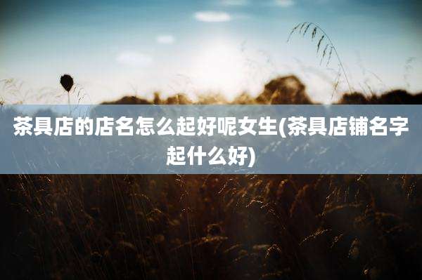 茶具店的店名怎么起好呢女生(茶具店铺名字起什么好)