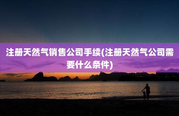 注册天然气销售公司手续(注册天然气公司需要什么条件)