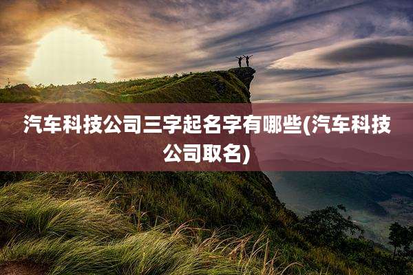 汽车科技公司三字起名字有哪些(汽车科技公司取名)