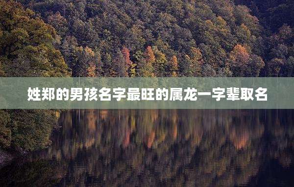 姓郑的男孩名字最旺的属龙一字辈取名