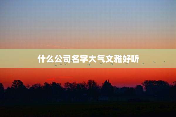 什么公司名字大气文雅好听