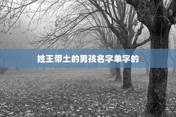 姓王带土的男孩名字单字的