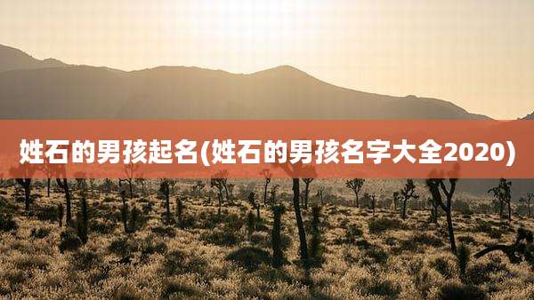 姓石的男孩起名(姓石的男孩名字大全2020)