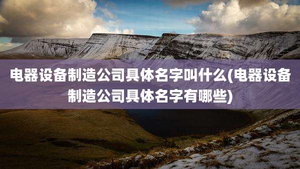 电器设备制造公司具体名字叫什么(电器设备制造公司具体名字有哪些)