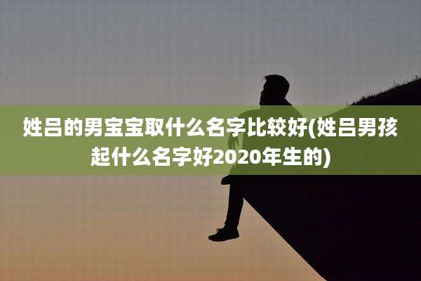 姓吕的男宝宝取什么名字比较好(姓吕男孩起什么名字好2020年生的)