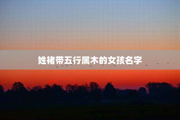 姓褚带五行属木的女孩名字