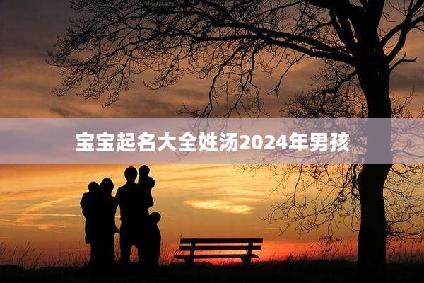 宝宝起名大全姓汤2024年男孩