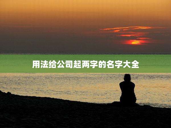 用法给公司起两字的名字大全