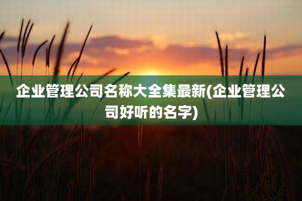 企业管理公司名称大全集最新(企业管理公司好听的名字)
