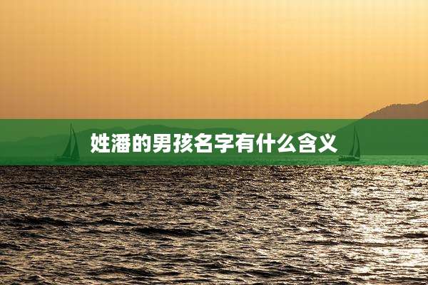 姓潘的男孩名字有什么含义