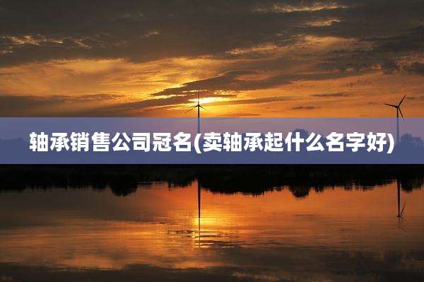 轴承销售公司冠名(卖轴承起什么名字好)
