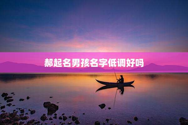 郝起名男孩名字低调好吗