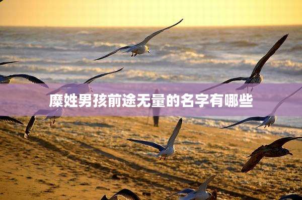 糜姓男孩前途无量的名字有哪些