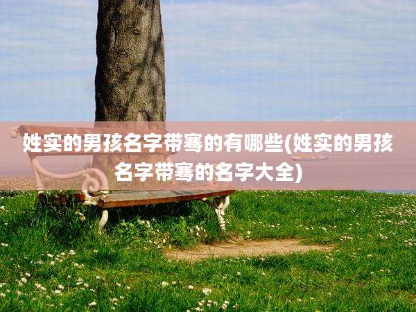姓实的男孩名字带骞的有哪些(姓实的男孩名字带骞的名字大全)