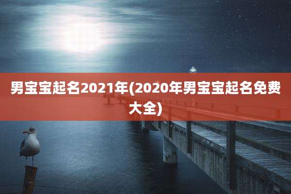 男宝宝起名2021年(2020年男宝宝起名免费大全)