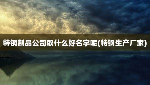 特钢制品公司取什么好名字呢(特钢生产厂家)